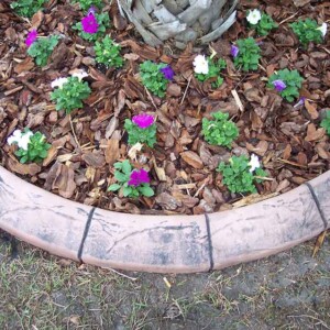 Dusty Rose with Charcoal Gray Custom Curbing