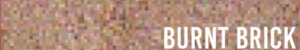 Burnt Brick Color Sample