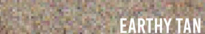 Earth Tan Color Sample